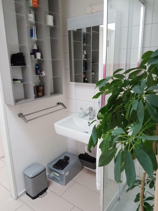 Zimmer In Penthouse-Wohnung Windisch Eksteriør billede