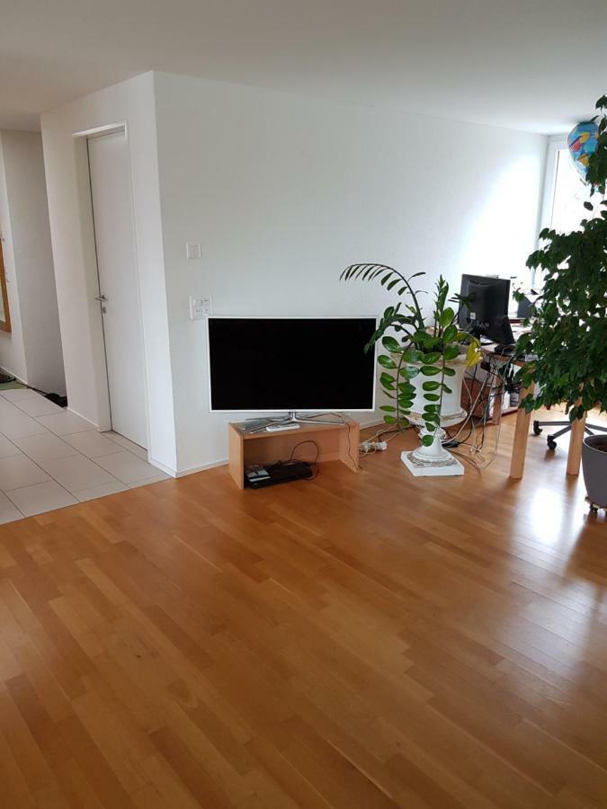 Zimmer In Penthouse-Wohnung Windisch Eksteriør billede