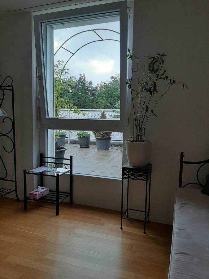 Zimmer In Penthouse-Wohnung Windisch Eksteriør billede